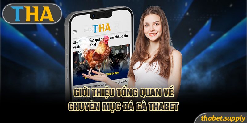 Giới thiệu tổng quan về chuyên mục đá gà Thabet