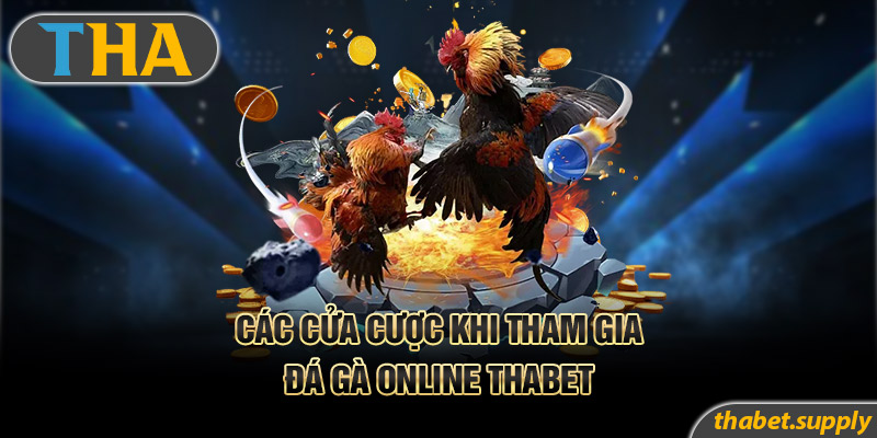 Các cửa cược khi tham gia đá gà online Thabet