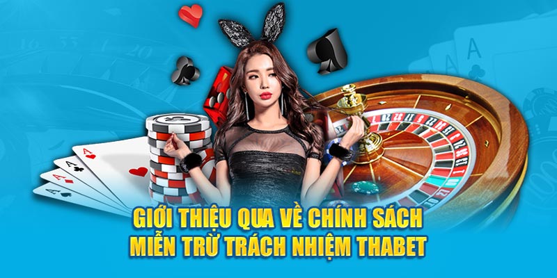 Giới thiệu qua đôi nét thông tin về chính sách miễn trừ trách nhiệm Thabet