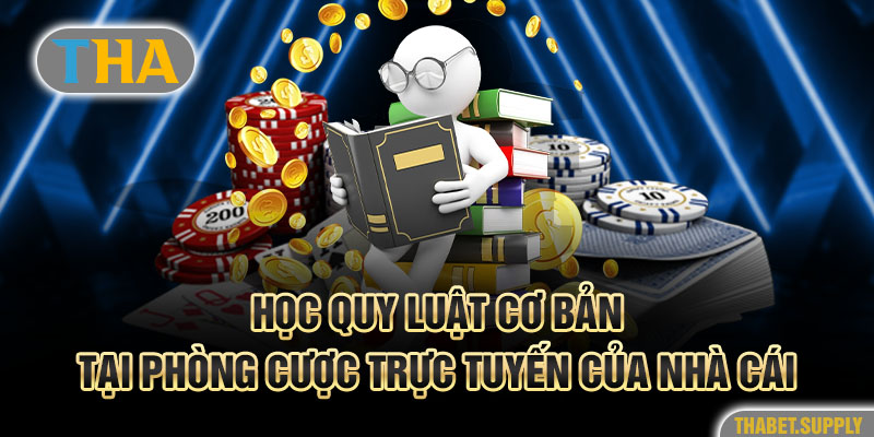 Học quy luật cơ bản tại phòng cược trực tuyến của nhà cái